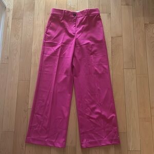 Ann Taylor Size 4P Wide Leg Flat Front Trouser in Hot Pink